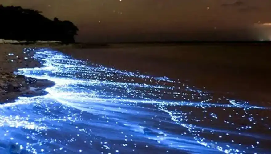 ساحل نقره ای قشم