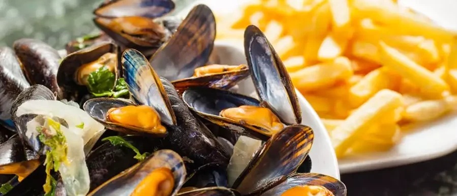 غذاهای تور بلژیک Moules-frites 