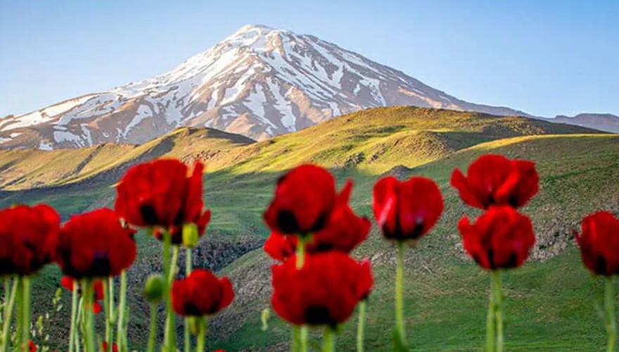 دشت لار