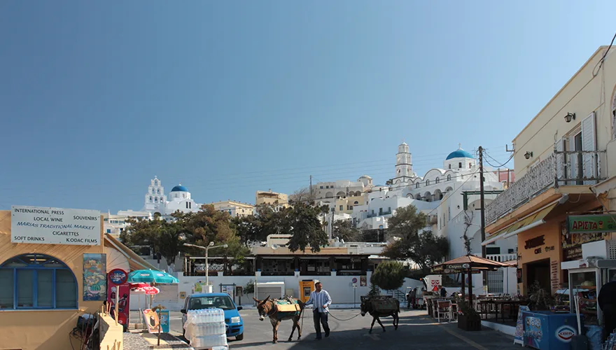 پیرگوس کالیستیس