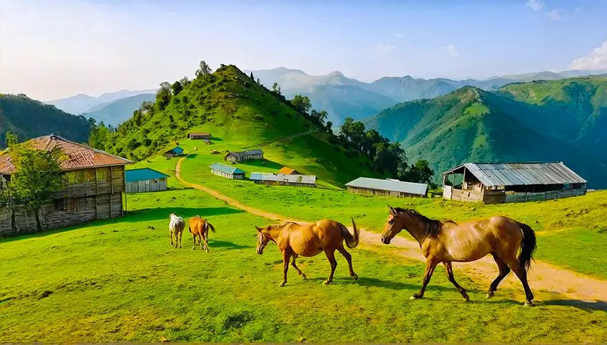 ییلاق ماسال (6 مورد از زیباترین ییلاقات ماسال)