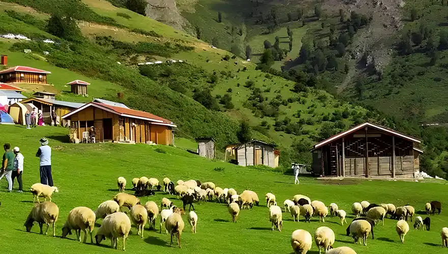 زندگی روستایی و دامداری