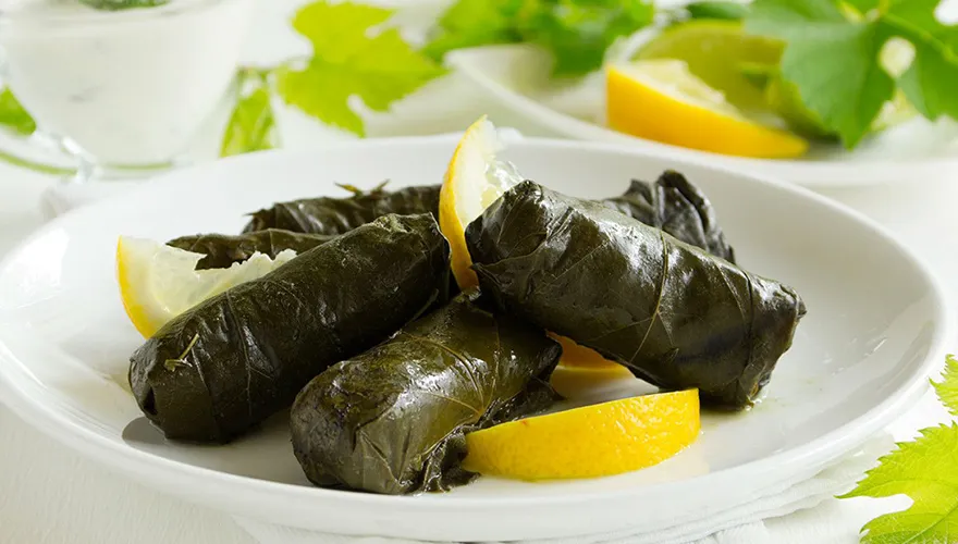 دلماداکیا